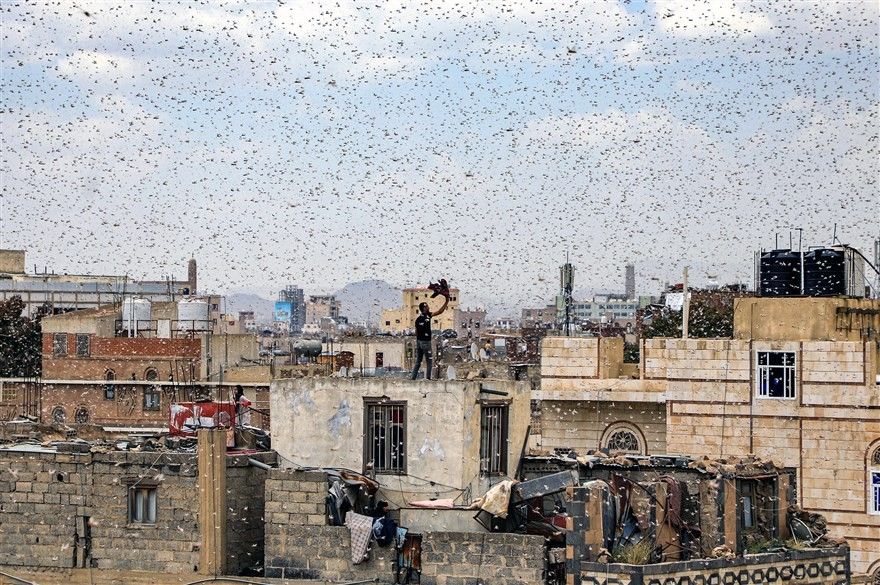 su kien quoc te noi bat nam 2019 qua nhung buc anh an tuong