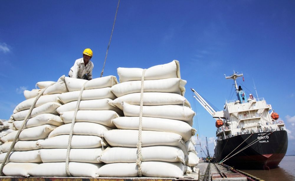 Bộ Nông nghiệp và Phát triển nông thôn dự báo, xuất khẩu gạo năm 2020 sẽ cán mốc trên 6 triệu tấn. (Nguồn: Lao Động)