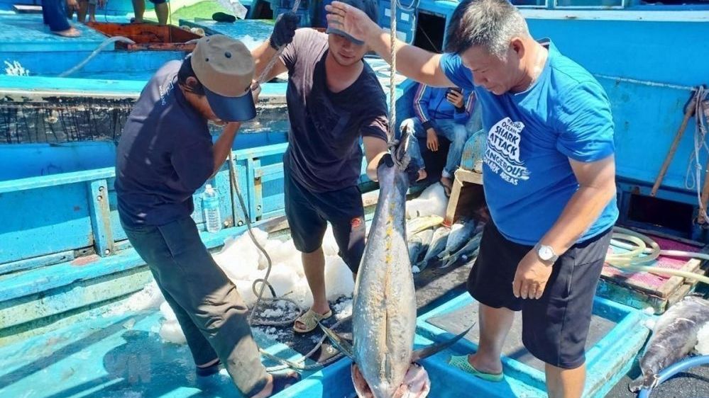 xuat khau ngay 151812 xuat khau sang trung quoc tang 16 han ngach gao vao eaeu ra mat cam nang ban hang vao he thong phan phoi nuoc ngoai