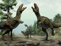 phat hien hoa thach bo xuong khung long hoan thien lon nhat