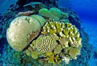 se co khu bao ton bien lon nhat the gioi o nam cuc