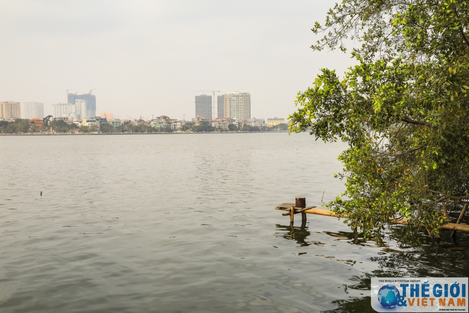 Dự báo thời tiết đêm nay và ngày mai (23-24/5): Hà Nội có lúc mưa rào, giông; Trung Trung Bộ nắng nóng gay gắt; Đông Bắc Bộ, Nam Bộ mưa to cục bộ