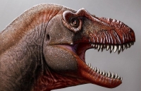 Phát hiện loài 'khủng long thần chết' anh em họ của T. rex ở Canada