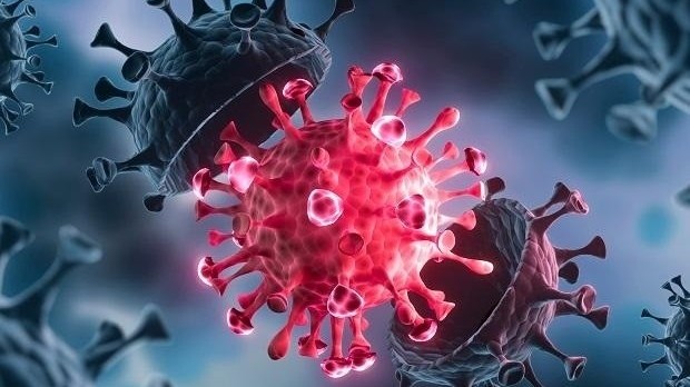 covid19 phat hien it nhat ba bien the lai giua delta va omicron