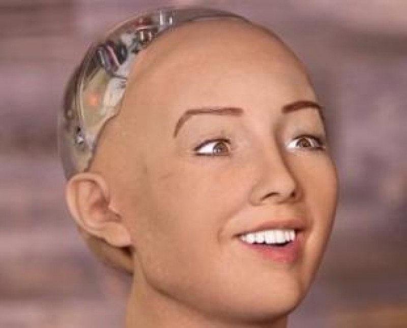 che tao thanh cong robot giong het con nguoi