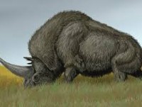 cac nha khoa hoc tim thay hinh duc phat khac tren da o siberia nga