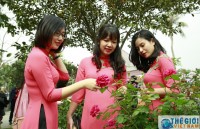 Khai mạc Lễ hội hoa hồng Bulgaria tại Hà Nội