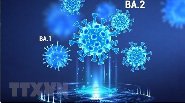 canh bao nguy co xuat hien bien the nguy hiem hon omicron