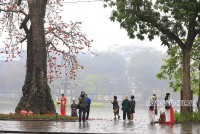 World Travel Awards 2022: Việt Nam được vinh danh nhiều điểm đến hàng đầu thế giới