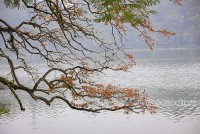 10 tháng năm 2022, du khách Ấn Độ đến Việt Nam tăng 51%/tháng