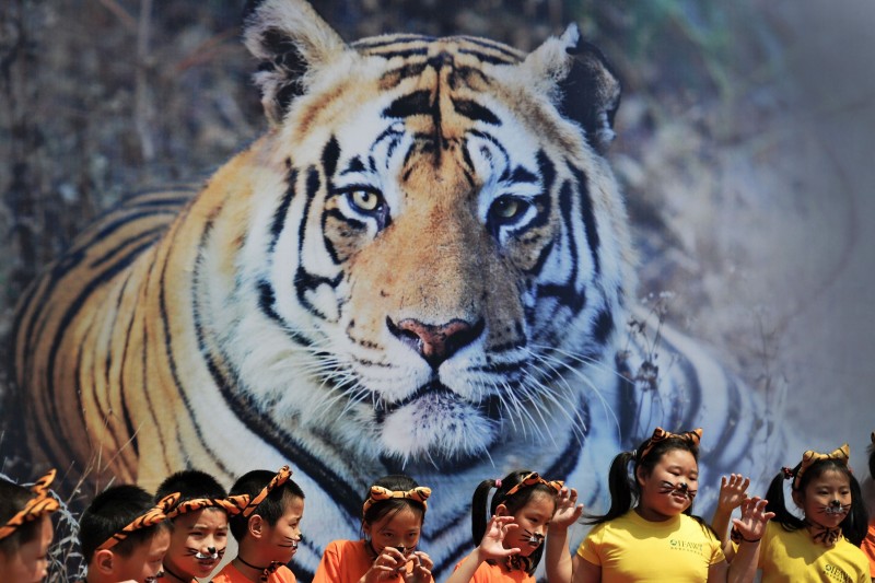 chau a so luong ho hoang da tang tro lai