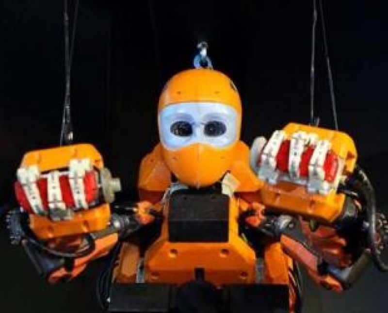 che tao robot thay the tho lan