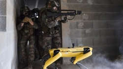 Quân đội Pháp sẽ đưa 'siêu khuyển robot' ra chiến trường