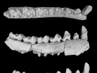 hoa thach 16 ty nam lam lung lay thuyet ve su song tren trai dat