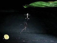 israel phat minh xe hoi bay khong nguoi lai