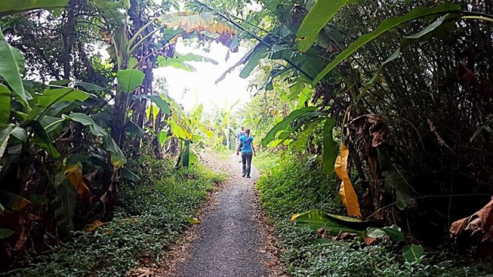 Chuyên gia Mỹ: Biến đổi khí hậu đang tác động mạnh mẽ đến Việt Nam bien doi khi hau tai viet nam la de tai nghien cuu tai my