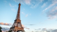  Hàng chục nghìn người phản đối tái cải tạo quanh tháp Eiffel, trong đó có việc... chặt cây