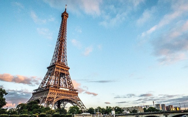 Pháp: Hàng chục nghìn người phản đối kế hoạch chặt cây gần tháp Eiffel