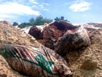 bo truong chu tich ubnd cac cap chiu trach nhiem ve o nhiem moi truong