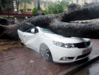 yen bai thiet hai nang ne do mua lu