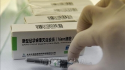 Trung Quốc: Vaccine Covid-19 phát triển trong nước 'bảo vệ tuyệt vời' trước biến thể Delta