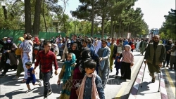 Tình hình Afghanistan: Thổ Nhĩ Kỳ không thể 'vác' gánh nặng người tị nạn, Australia sơ tán thêm 300 người