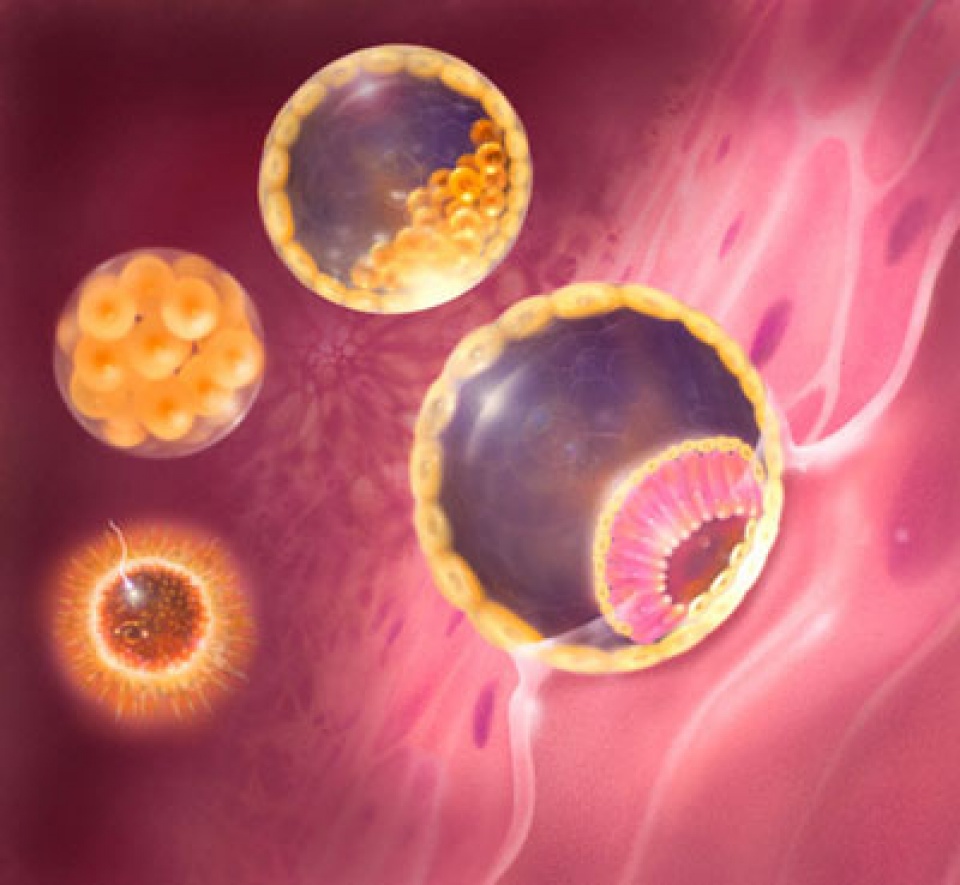 thu nghiem thanh cong phuong phap thu thai khong can trung