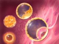 phat trien phuong phap chan doan nhanh va dieu tri benh lao phoi