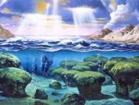 chim canh cut la thuoc do quan trong de danh gia tinh trang bien