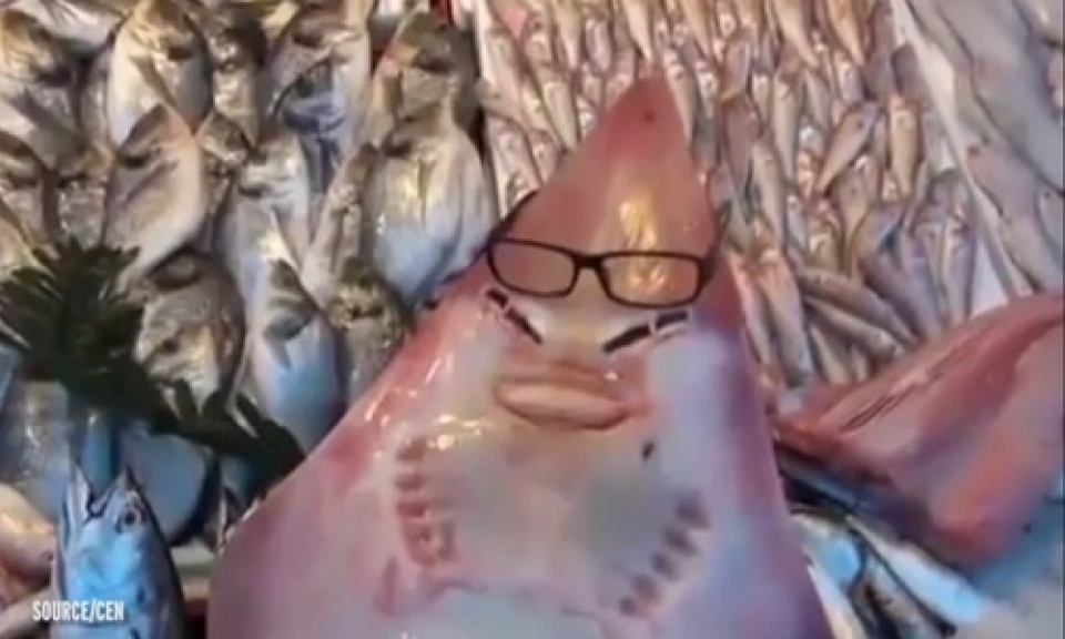 ky la ca map mat giong nguoi