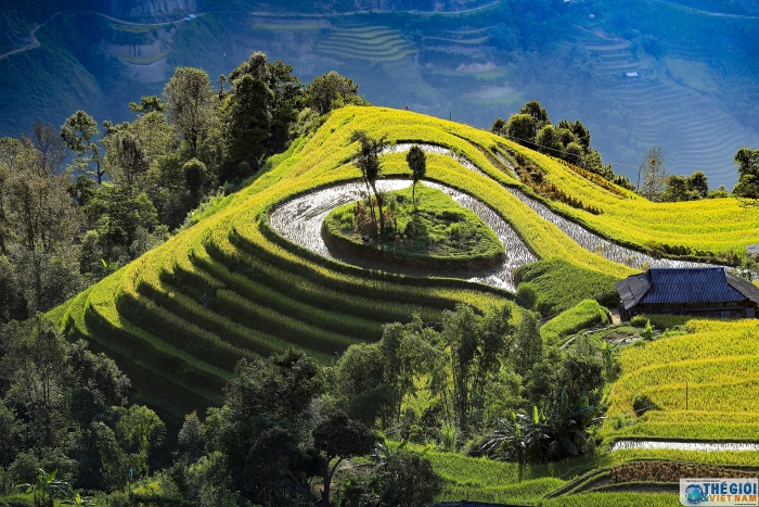 hoang su phi dep me hon trong mua lua chin