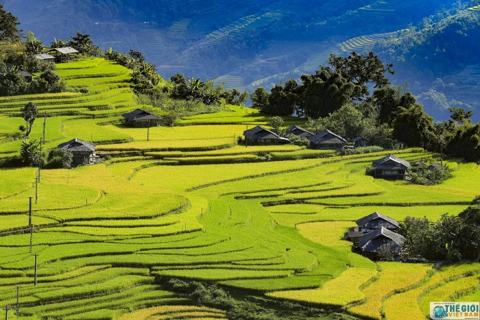 hoang su phi dep me hon trong mua lua chin