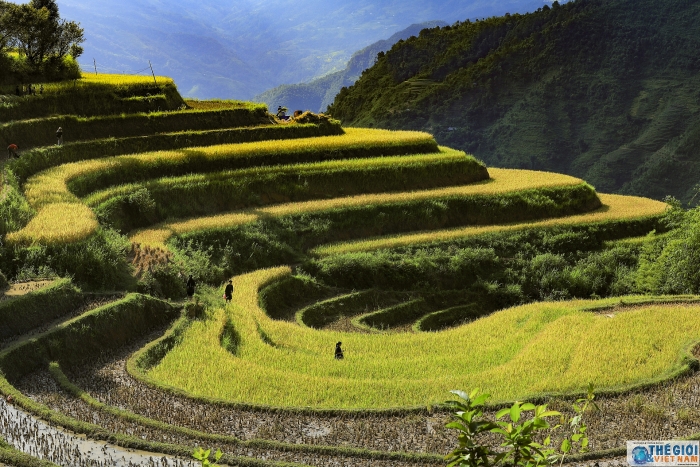 hoang su phi dep me hon trong mua lua chin