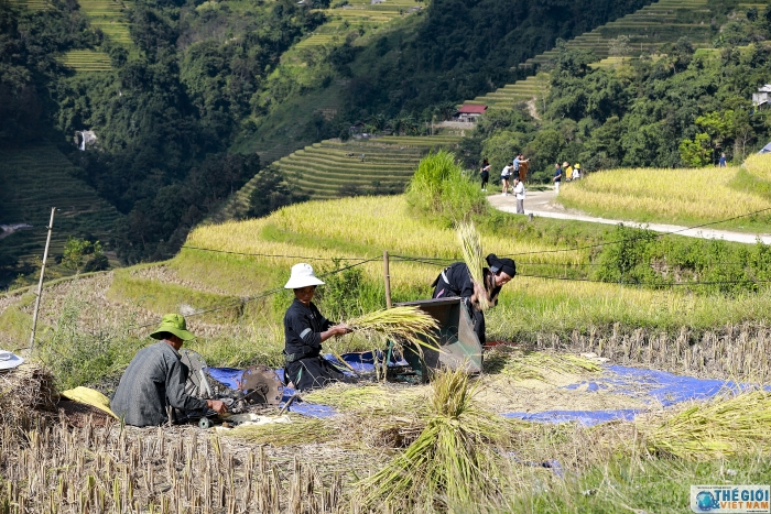 hoang su phi dep me hon trong mua lua chin