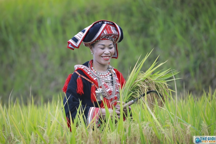 hoang su phi dep me hon trong mua lua chin