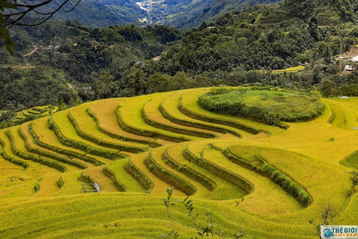 hoang su phi dep me hon trong mua lua chin