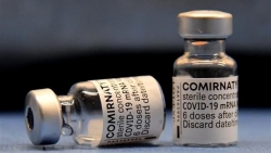 Pfizer hy vọng có vaccine cho trẻ từ 5-11 tuổi vào cuối mùa Thu