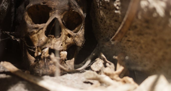 Đã xác định thời điểm khi loài người có thể diệt vong Đã xác định thời điểm khi loài người có thể diệt vong