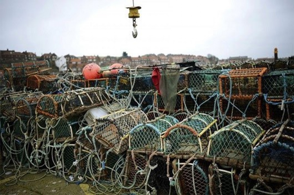bien doi khi hau anh huong lon den cuoc song tren trai dat