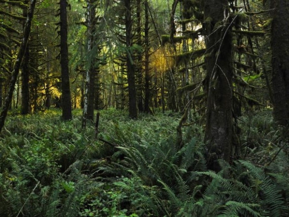 bien doi khi hau anh huong lon den cuoc song tren trai dat