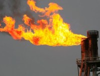 new zealand noi tot nhat de dau tu kinh doanh nam 2017