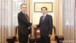 Thúc đẩy quan hệ đối tác chiến lược sâu rộng Việt Nam-Nhật Bản