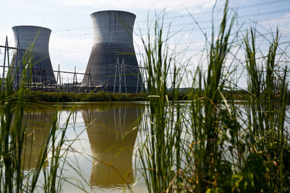 cay dot bien gene co the cuu con nguoi khoi bien doi khi hau