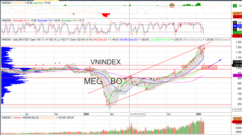 Thị trường chứng khoán ngày 29/1: Đồ thị VN-Index. (Nguồn: MegaBot)