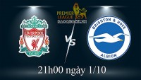 Link xem trực tiếp Liverpool vs Brighton (21h00 ngày 1/10) vòng 9 Ngoại hạng Anh