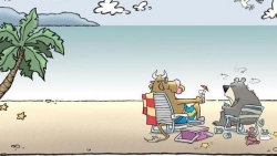 Nhận định thị trường chứng khoán ngày 24/11: Nhẹ nhàng vượt 1000 điểm?