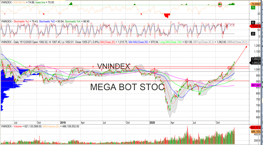 Thị trường chứng khoán ngày 16/12/2020: Đồ thị VN-Index. (Nguồn: MegaBot)