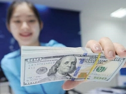 Thị trường chứng khoán ngày 4/1: Dòng tiền ồ ạt chảy vào thị trường