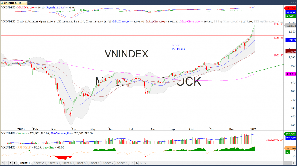 Đồ thị VN-Index của thị trường chứng khoán hôm nay 11/01 (Nguồn MegaBot)