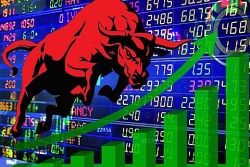 Thị trường chứng khoán ngày 11/1: Ngập sắc xanh, thanh khoản kỷ lục